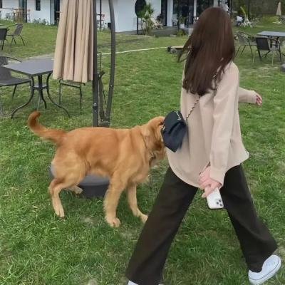 傅满洲的鼓